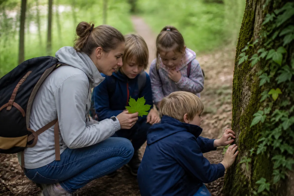 Enfants accompagnés observant des éléments de la forêt pendant un jeu de piste nature