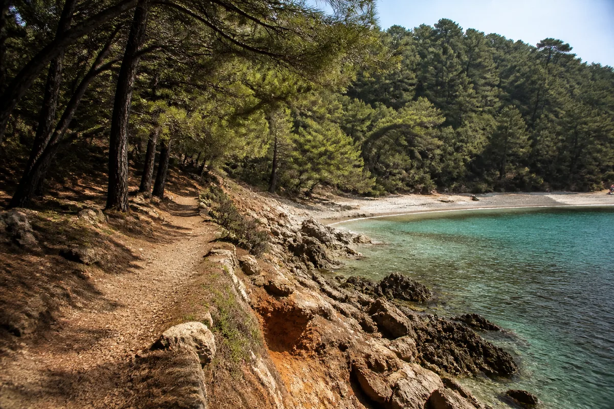 Sentier côtier méditerranéen entre pinède, rochers et plage